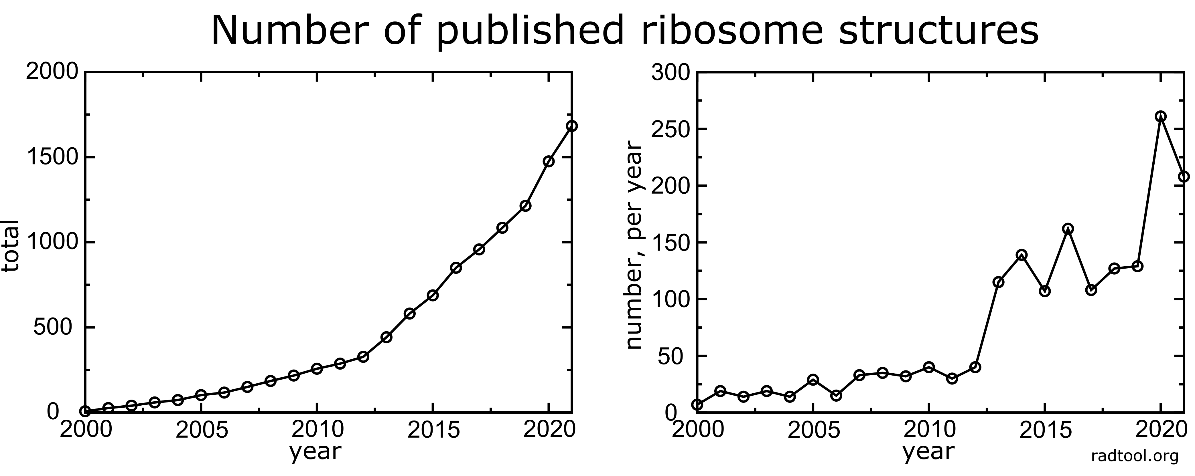 Number of ribosomes per year